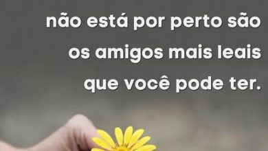 Frases Lindas D Amizades