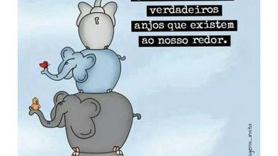 Frases Lindas De Amizades Verdadeiras