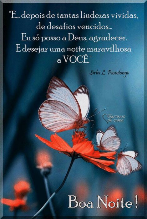 Frases Lindas De Boa Noite Para Whatsapp