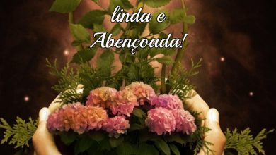 Frases Lindas De Boa Tarde Para Amigos