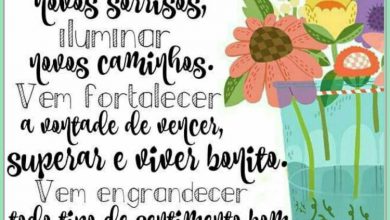 Frases Lindas De Começo De Semana