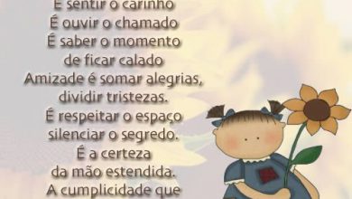 Frases Lindas E Pequenas De Amizade Para Whatsapp