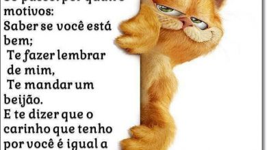 Frases Lindas Para Amigos