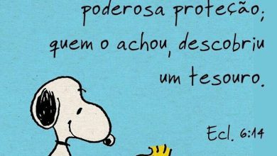 Frases Lindas Para Amizade Para Facebook