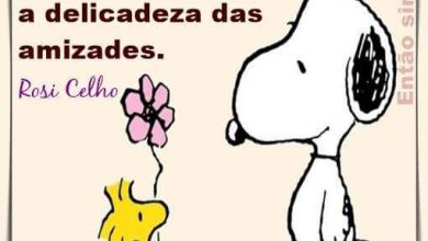 Frases Lindas Sobre A Amizade Para Whatsapp