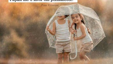 Frases Mais Lindas De Amizade Para Facebook