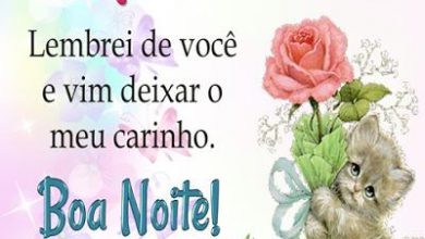 Frases Novas De Boa Noite