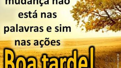 Frases Para Dar Uma Boa Tarde