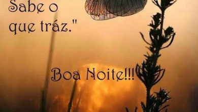 Frases Para Desejar Feliz Noite Para Facebook