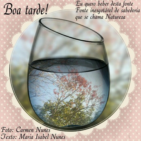 Frases Para Desejar Uma Boa Tarde