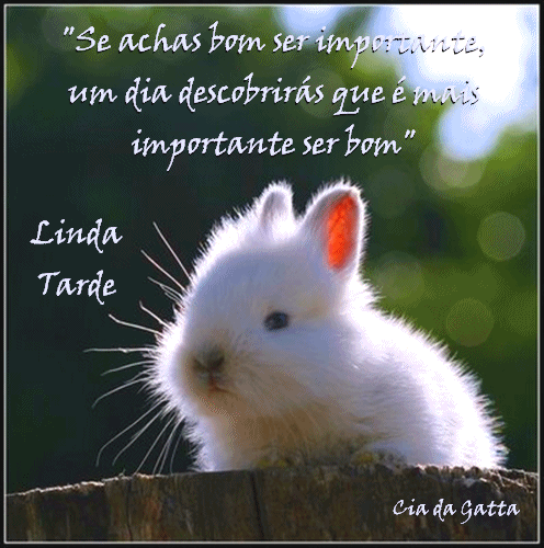 Frases Para Facebook De Boa Tarde Com Imagem