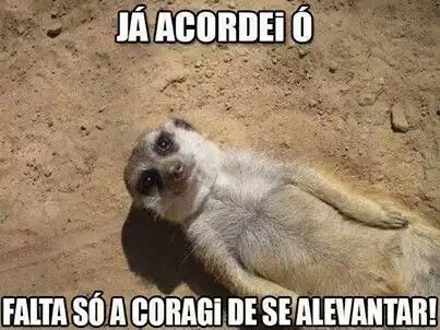 Frases Para Postar De Bom Dia Para Whatsapp