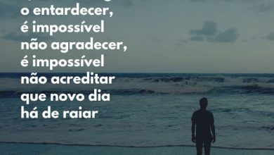 Frases Pequenas De Boa Tarde