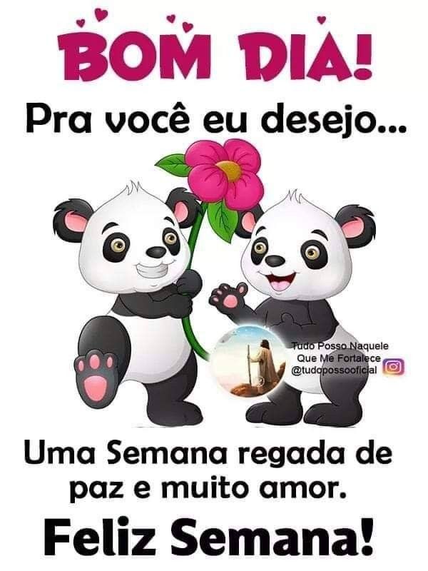 Frases Positivas Para Começar A Semana