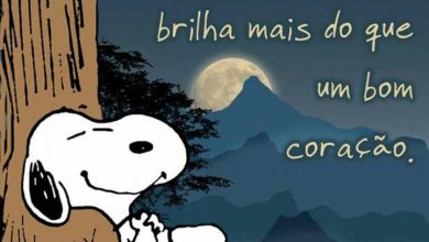 Frases Romanticas De Boa Noite