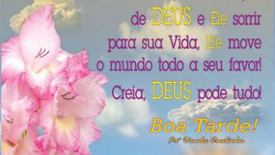 Frases Romanticas De Boa Tarde