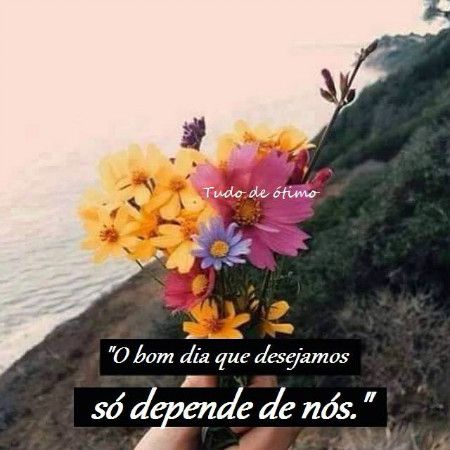 Frases Se Bom Dia Para Amigos Para Facebook