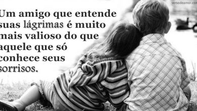 Frases Sobre Amizade Especial