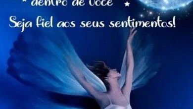 Frases Sobre Boa Noite Para Whatsapp