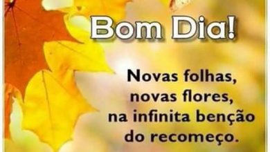 Frases Sobre Bom Dia Para Facebook