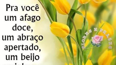 Frases Tarde