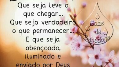 Frases Tenha Um Lindo Dia Para Facebook