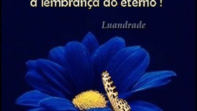 Frases Uma Boa Noite Para Facebook