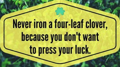 Funny St Patricks Day Sayings For Kids