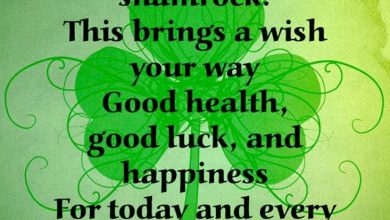 Funny St Pattys Day Quotes