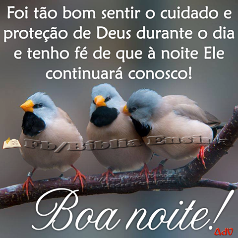 Googlemensagens De Boa Noite Para Facebook