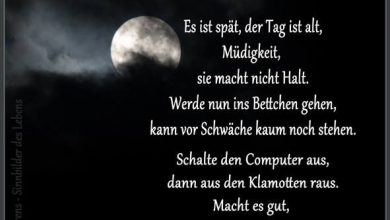 Gute Nacht Mein Engel