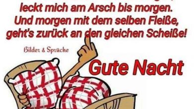 Gute Nacht Meine Lieben