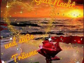 Gute Nacht Spruch