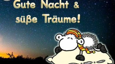 Gute Nacht Text