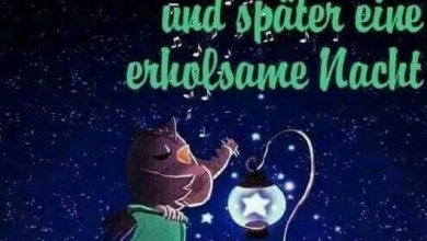 Gute Nacht Witzig