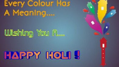 Holi Festival Information In English