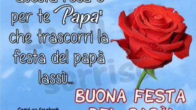 Idee Festa Del Papà