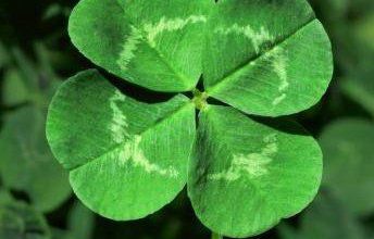 Irish Blessing Poem