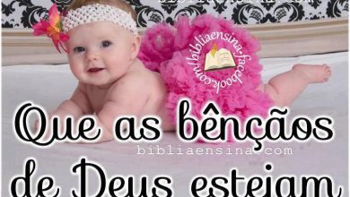 Lindas Frases De Boa Tarde