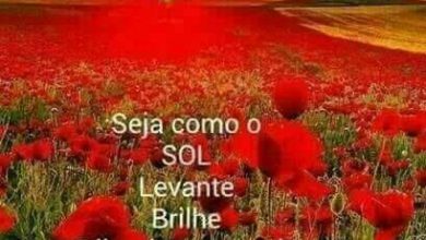 Lindas Frases De Boa Tarde Romanticas