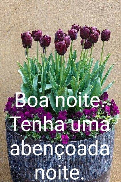 Lindas Mensagens Boa Noite Para Namorada