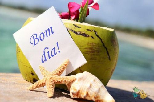 Lindas Mensagens De Bom Dia Para Facebook