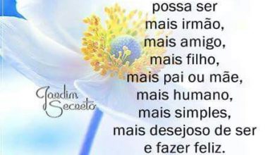 Lindo Bom Dia Frases Para Facebook