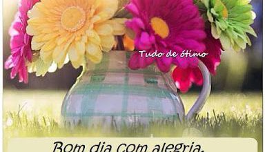 Lindo Bom Dia Para Whatsapp