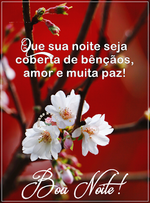 Massagens De Boa Noite Amor Para Whatsapp