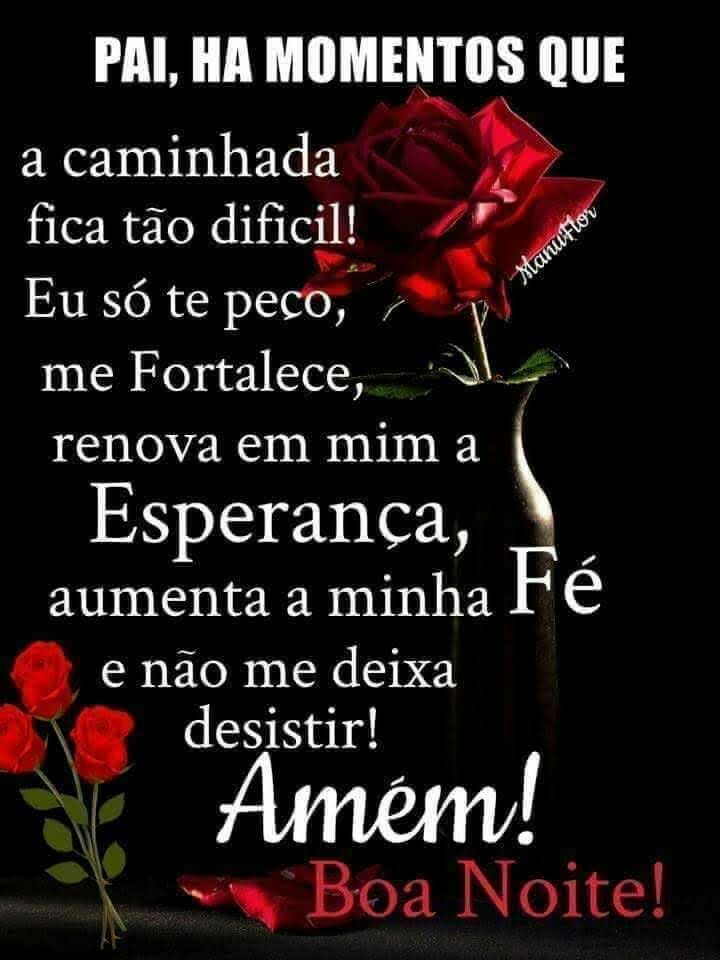 Mensagem Boa Noite Amiga Para Whatsapp