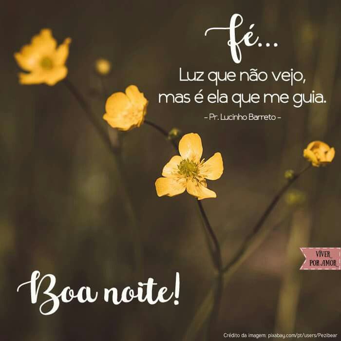 Mensagem Boa Noite Amor Para Namorada