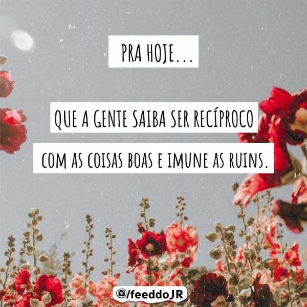 Mensagem De Alegria De Bom Dia Para Facebook