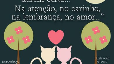 Mensagem De Boa Noite Carinhosa Para Whatsapp 1