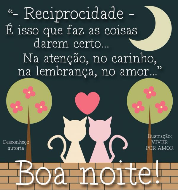 Mensagem De Boa Noite Carinhosa Para Whatsapp